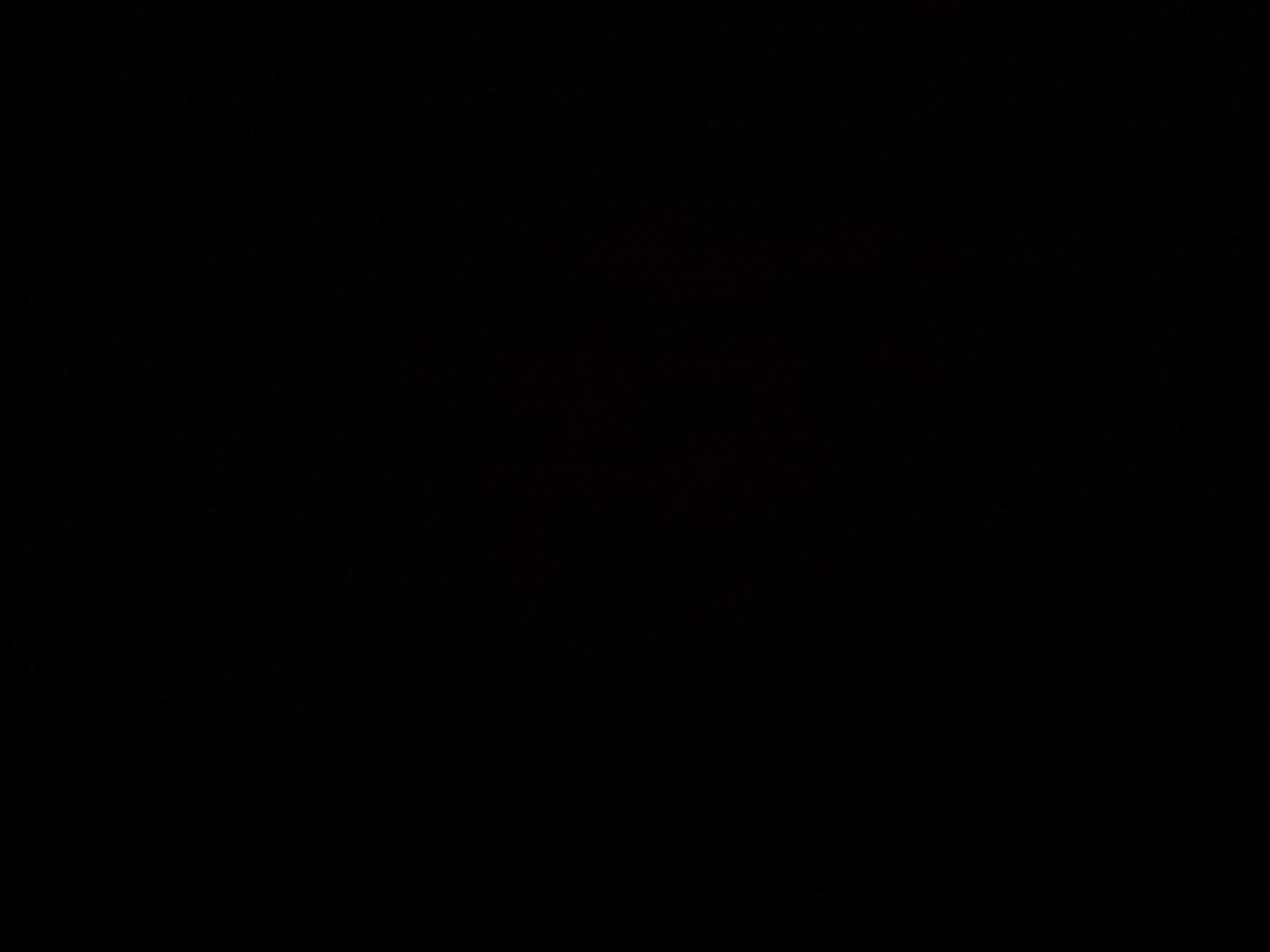 عبدالملك التيهاني