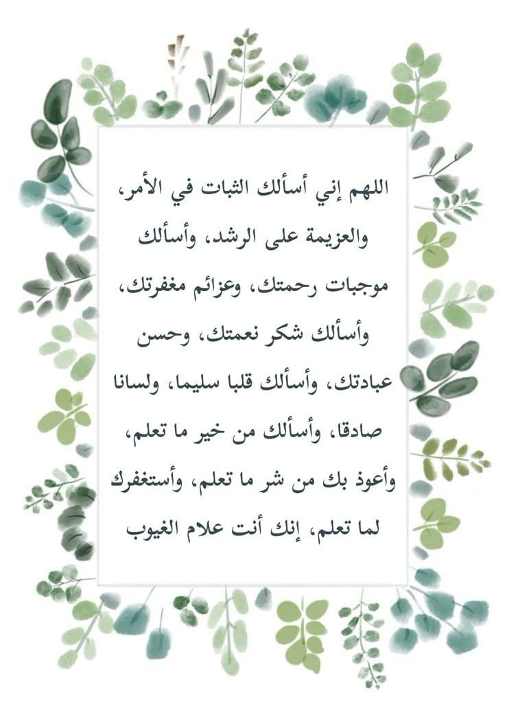 عبدالعزيز 