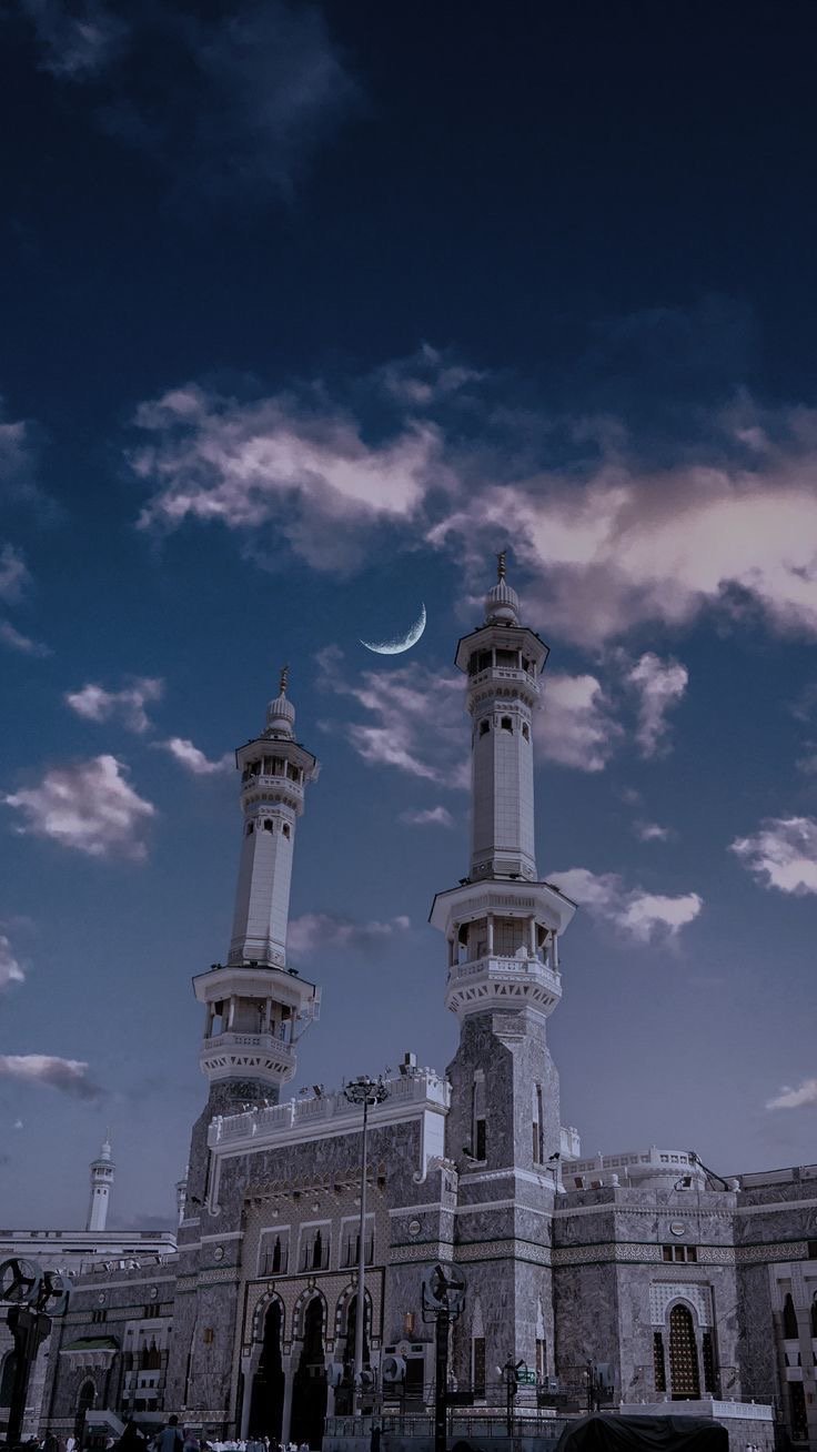 فرج ابن ناصر الهمّامي