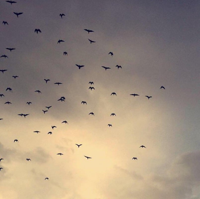 محمد نصرالدين