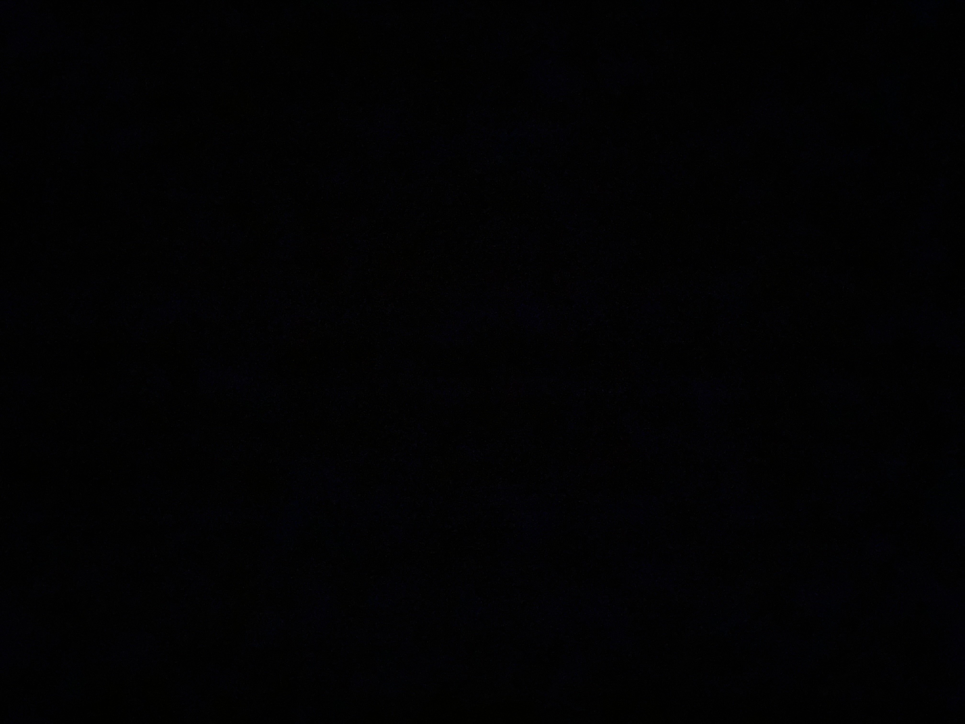 صالحه العطوي