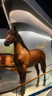 محمد الشهراني