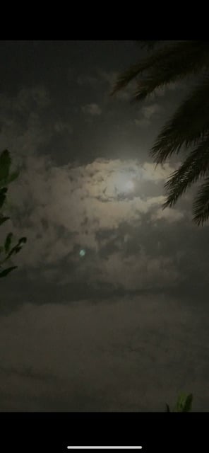 ريان عبدالله الجهني