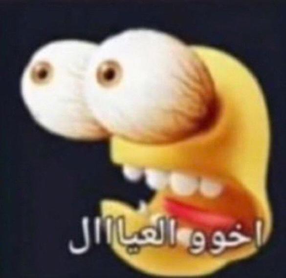 انس العمري