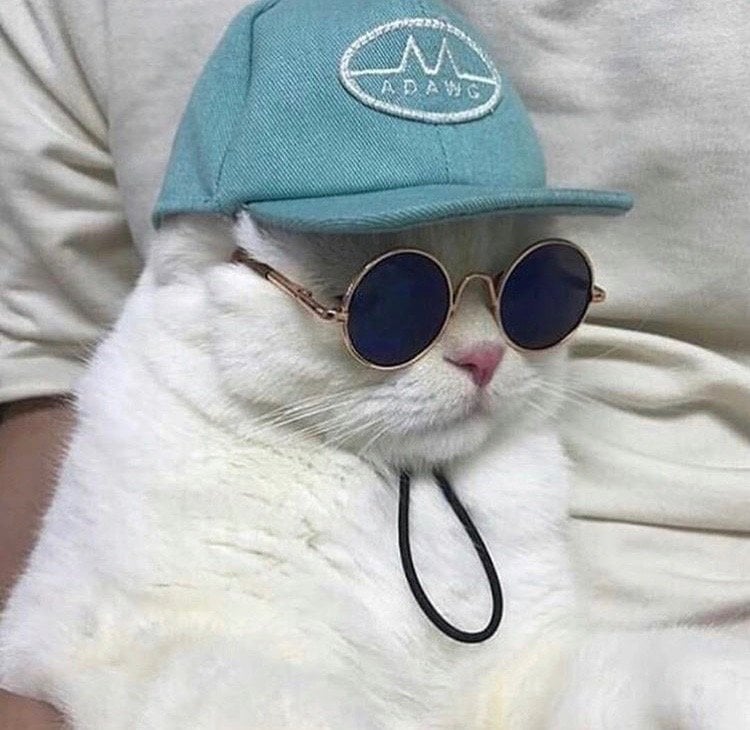 فاطمة القحطاني