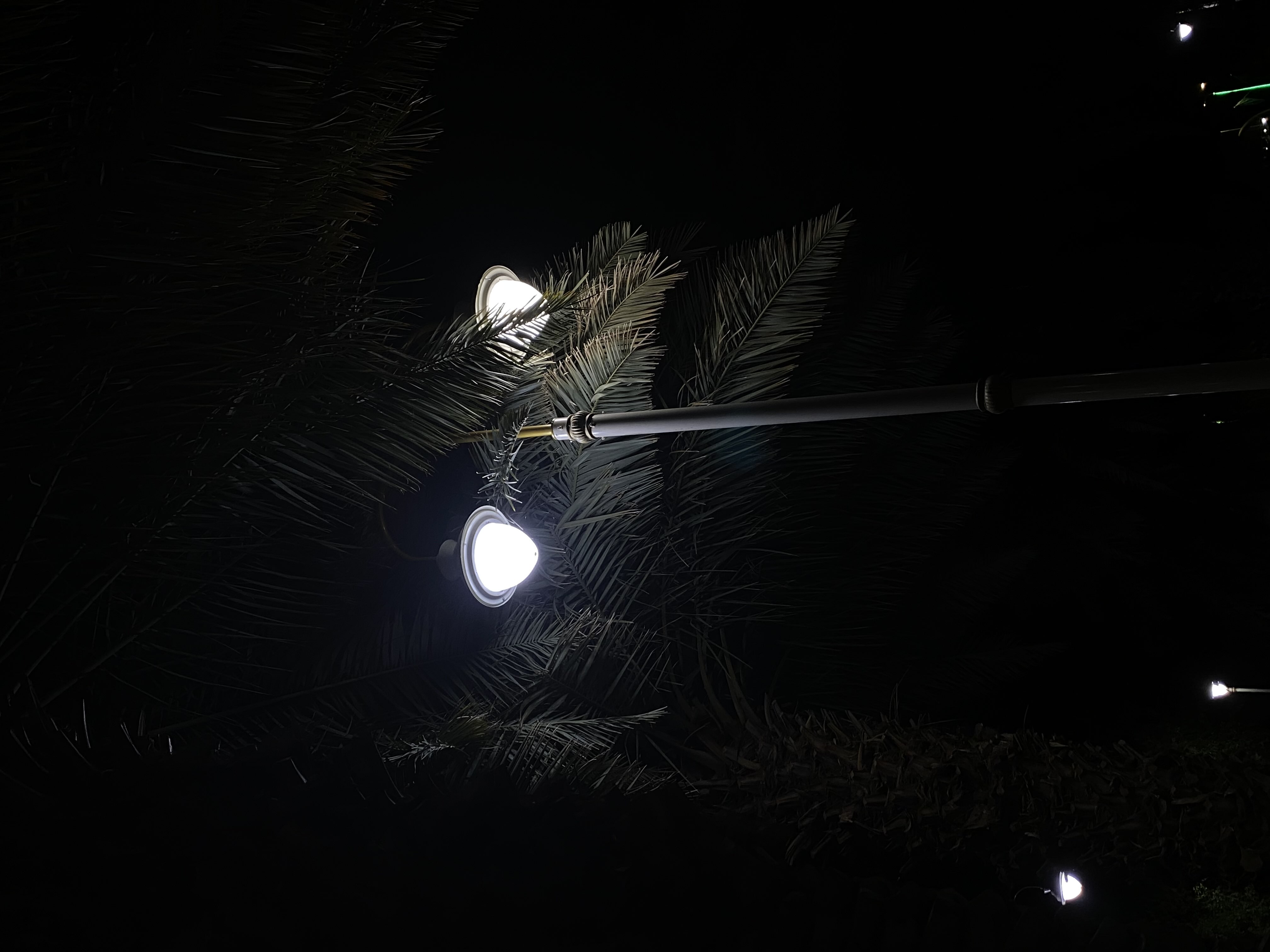 جميلة ال شوقه