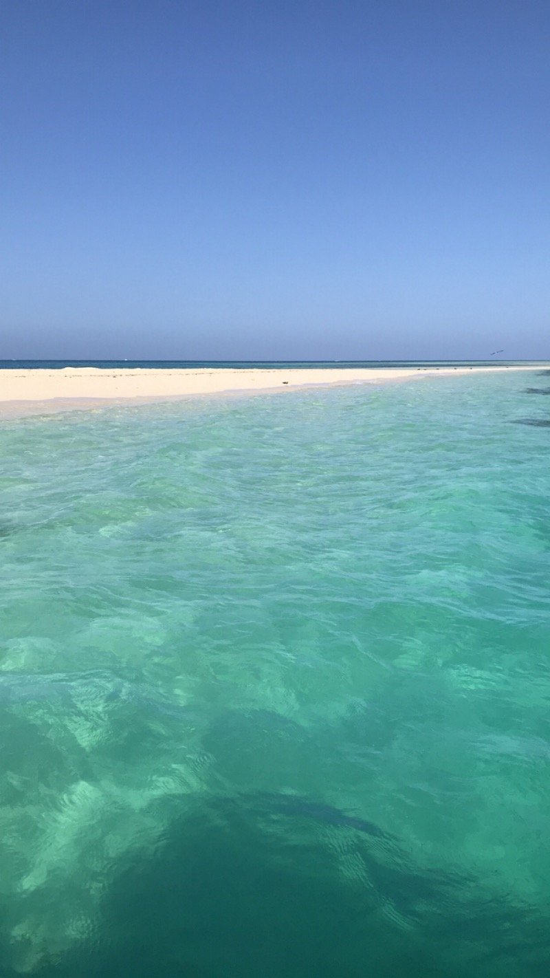 نورة السناني