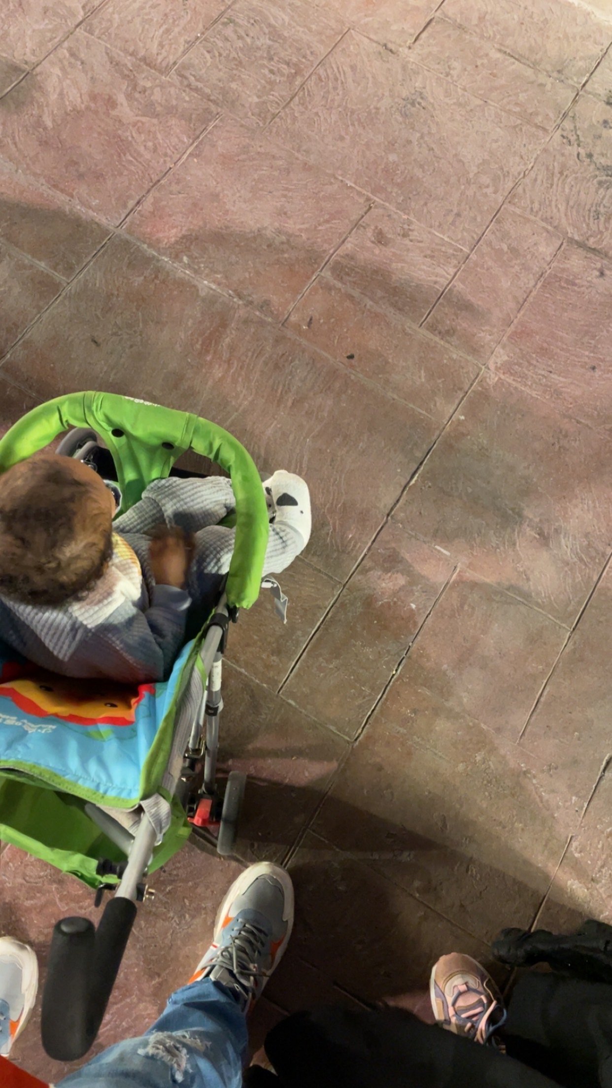 نورة المهدي