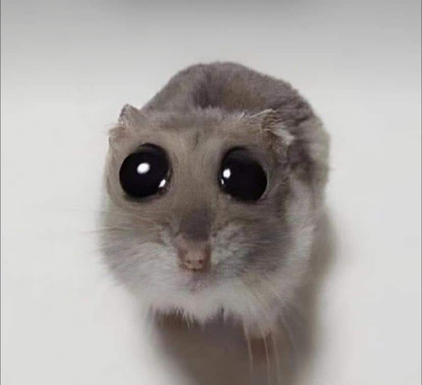 منى العماري