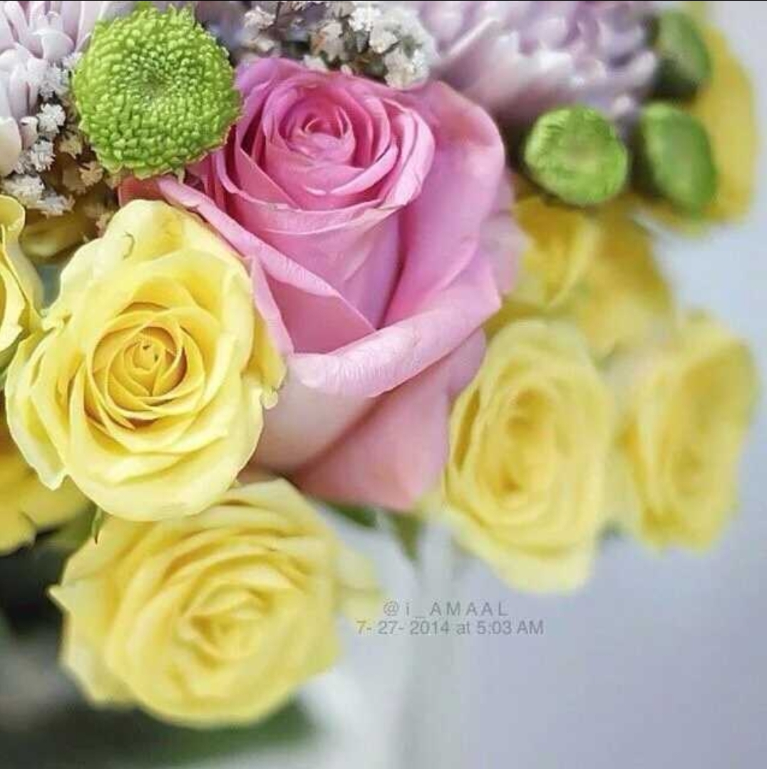 سهيلة البدراني