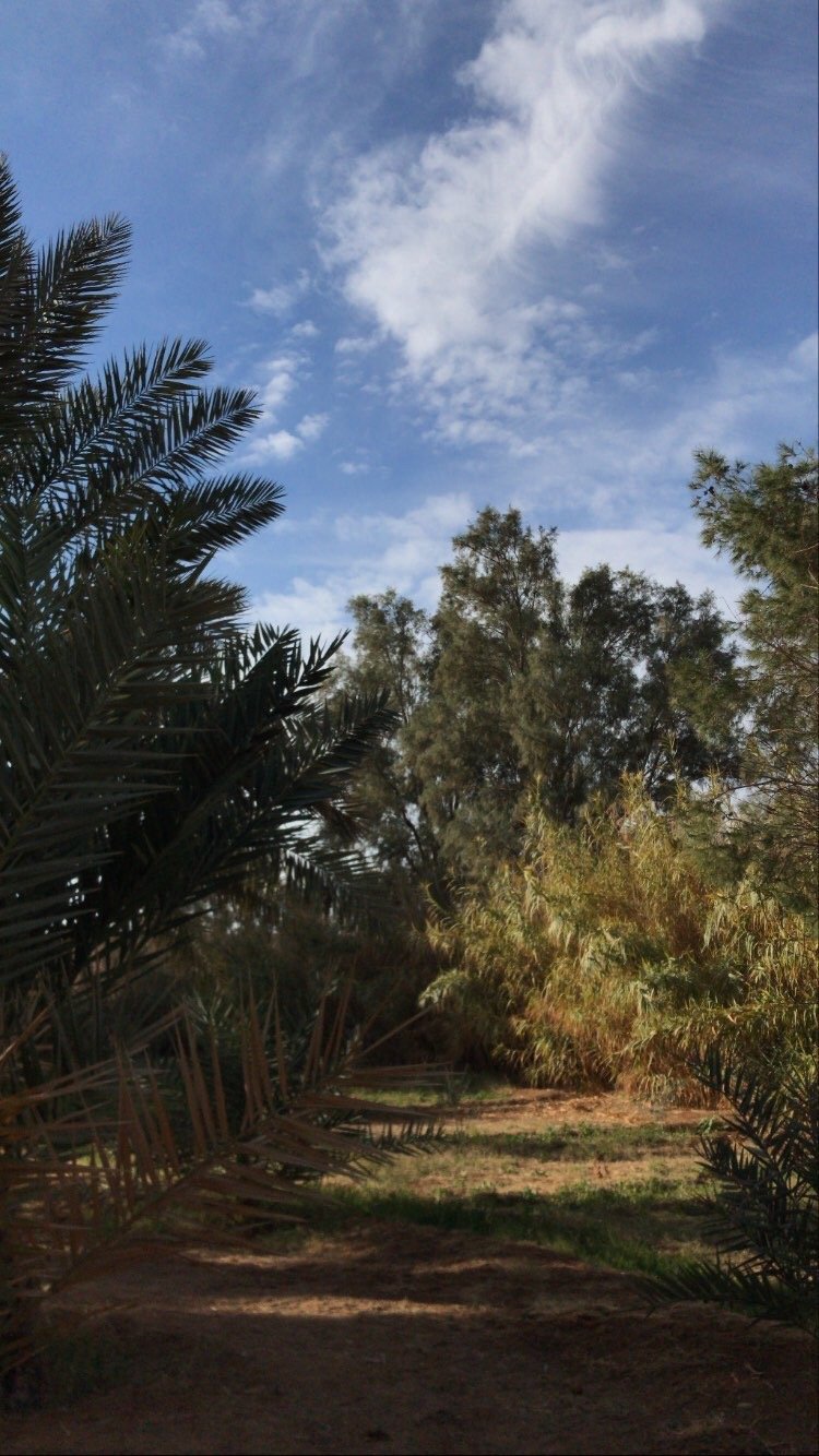 غيداء العنزي