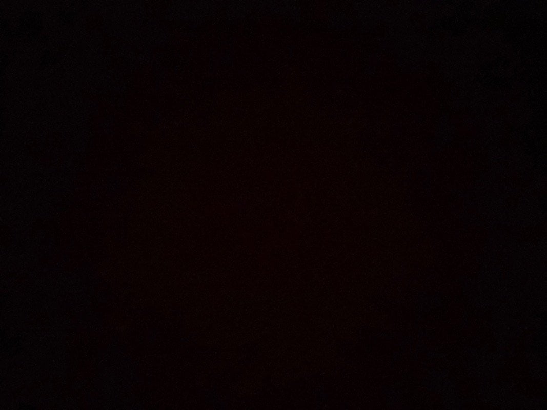 دلال الشيخي