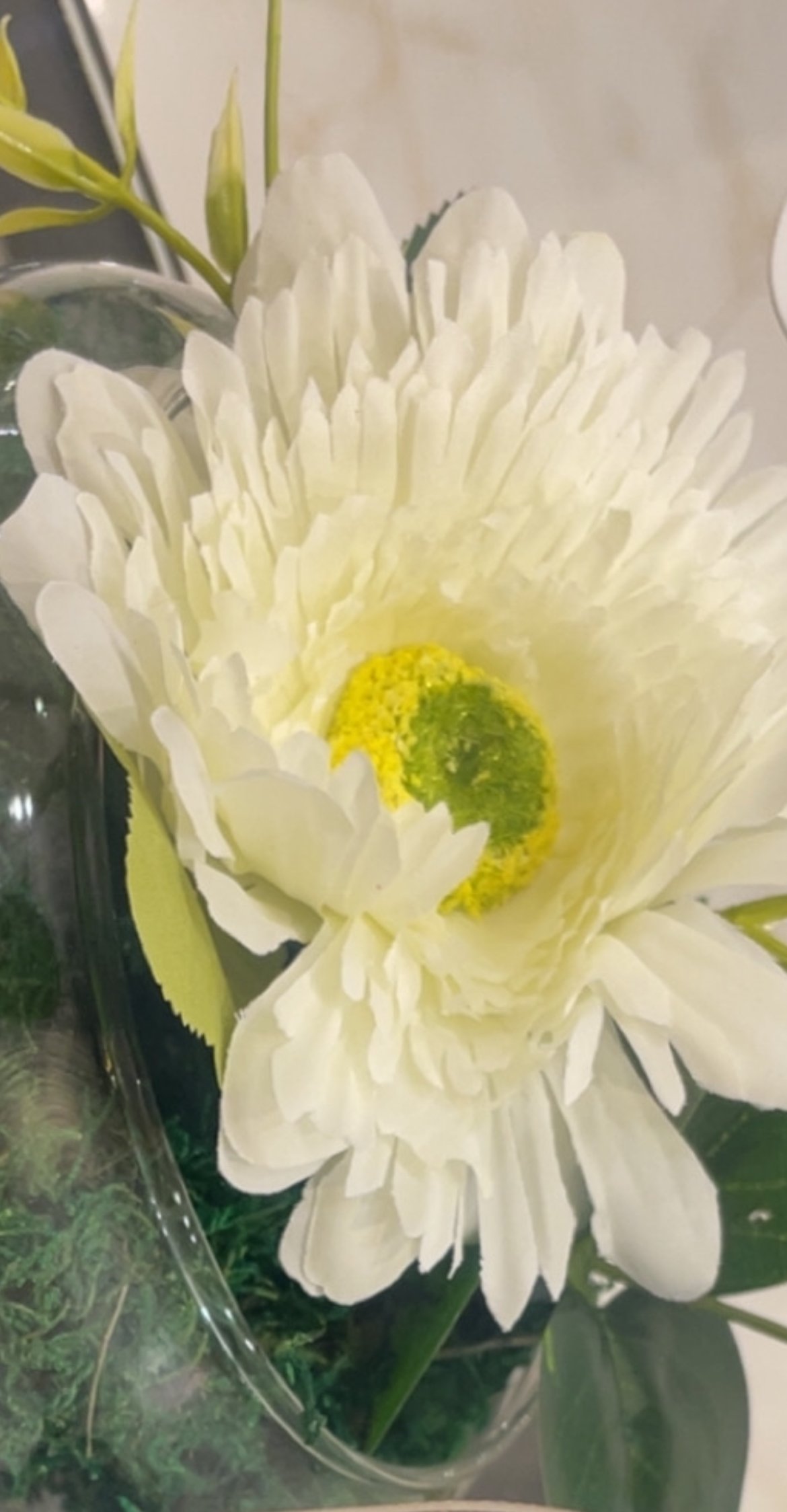 ام حلا العنزي