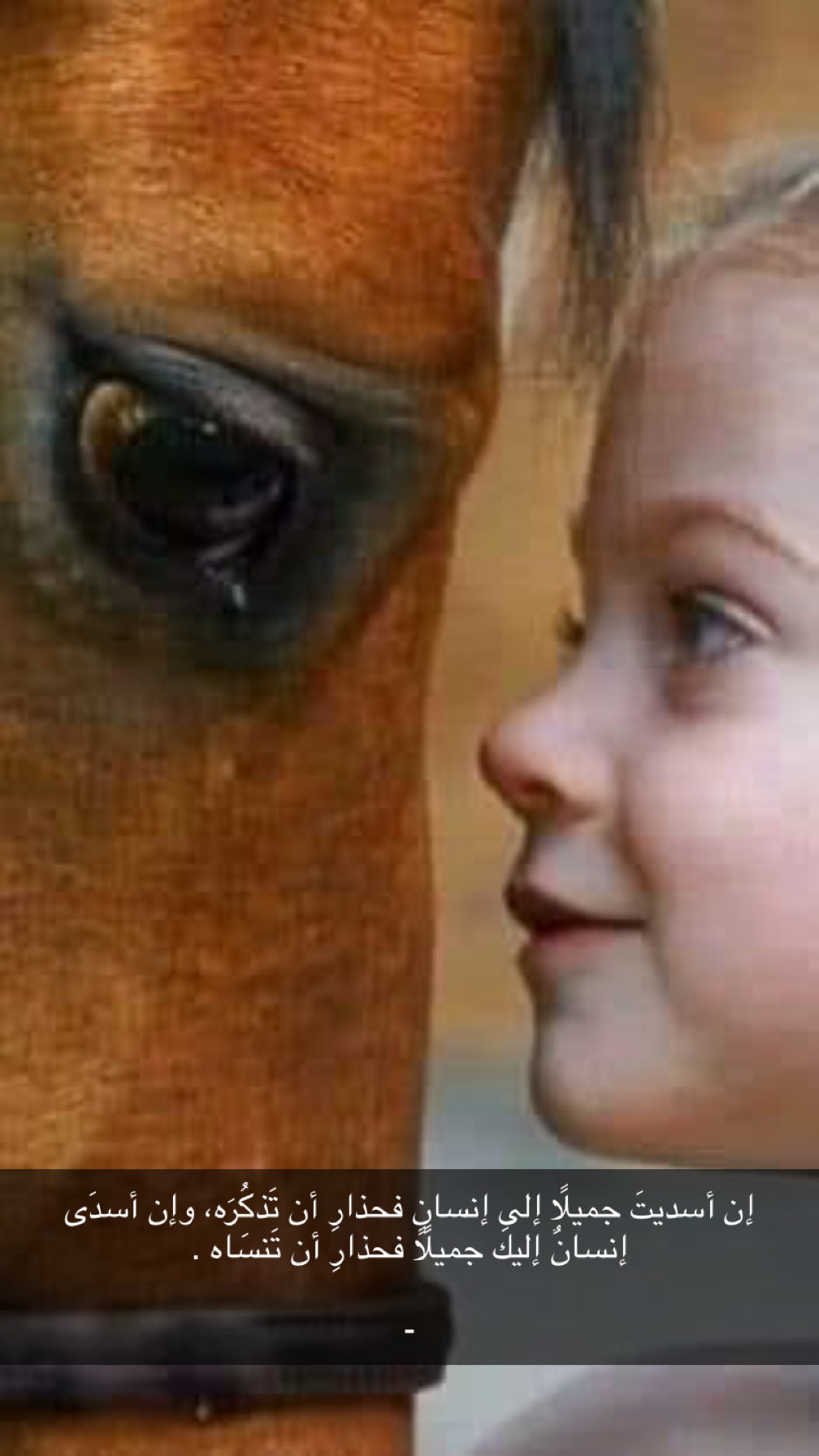 عامر ال منصور