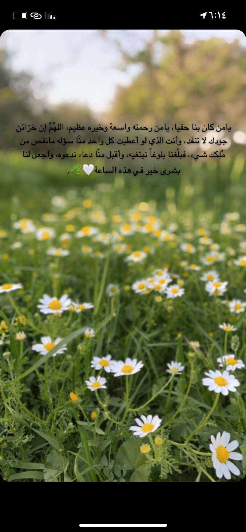 مشاري العتيبي