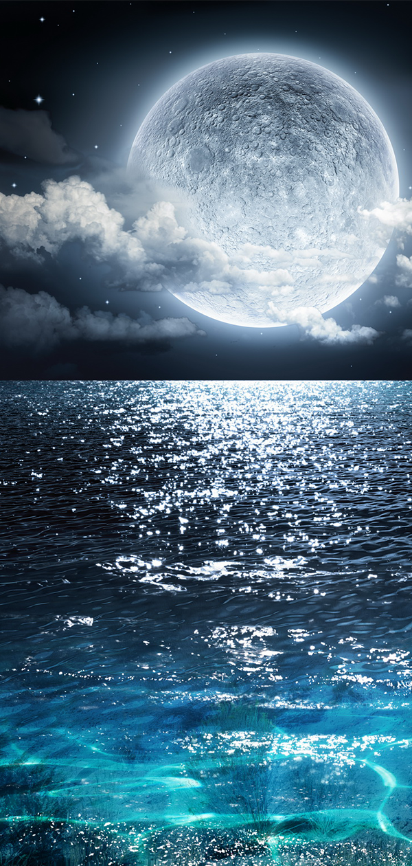 عبدالاله القحطاني