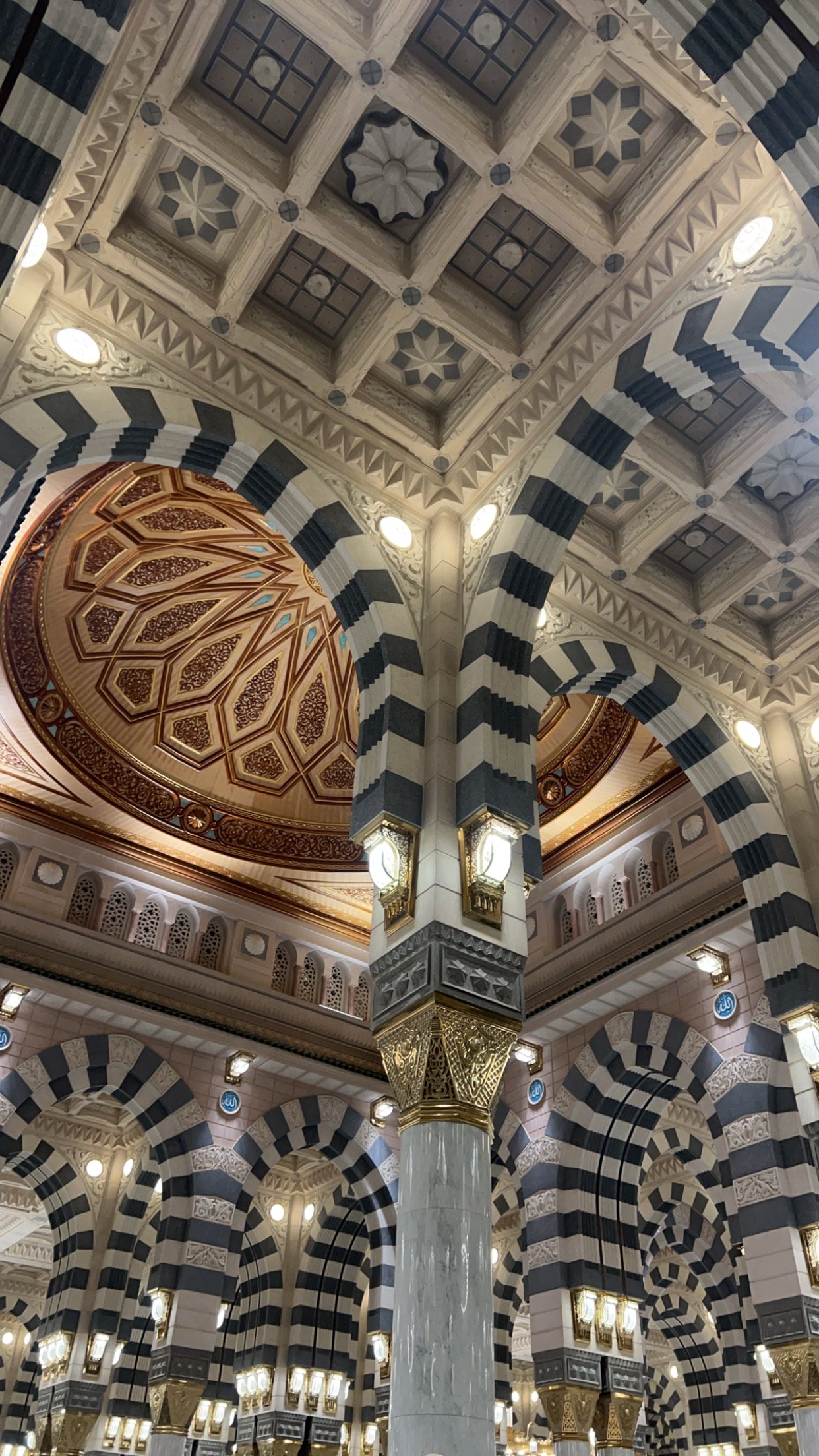 احلام عبدالرحمن