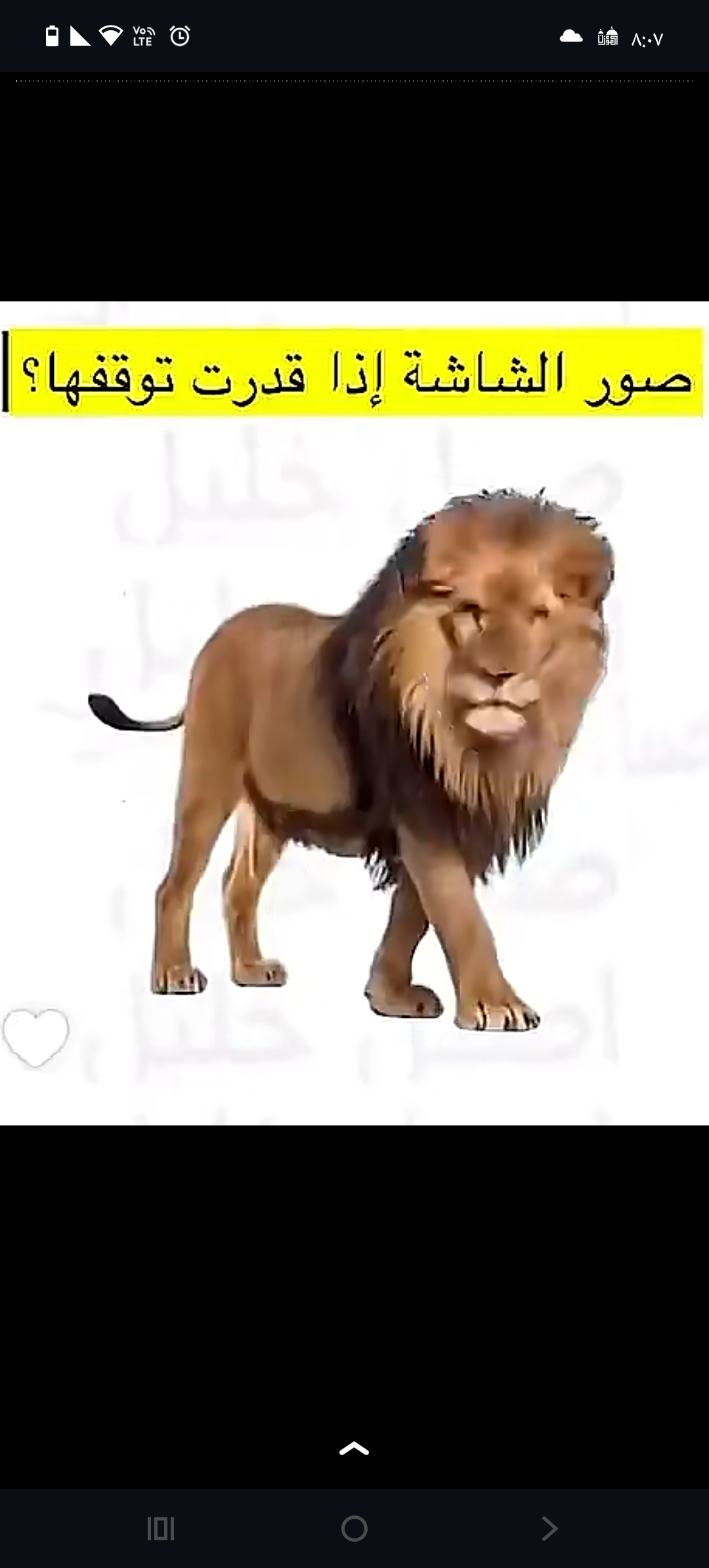 وليد العنزي