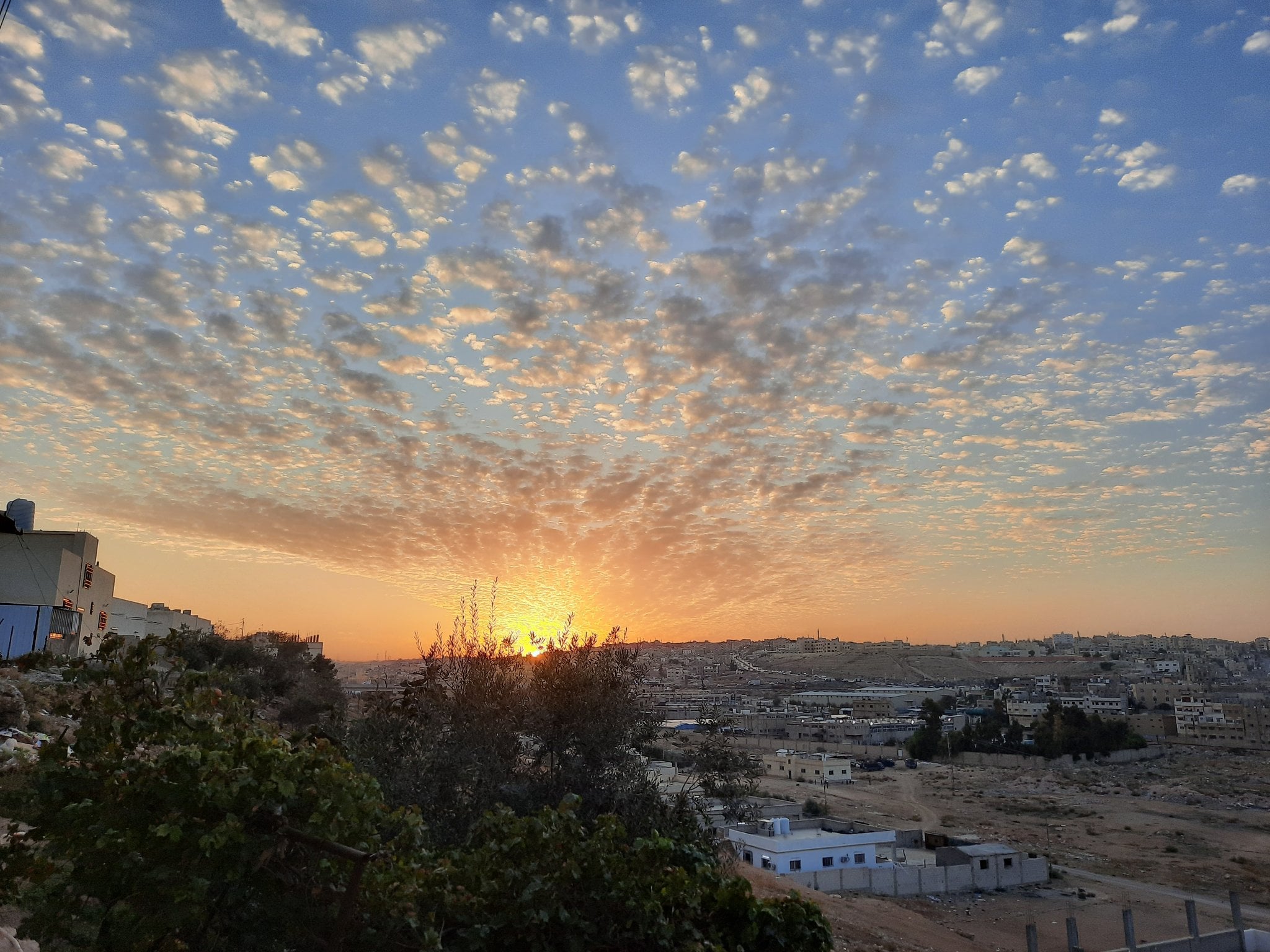 مرعي الرويلي
