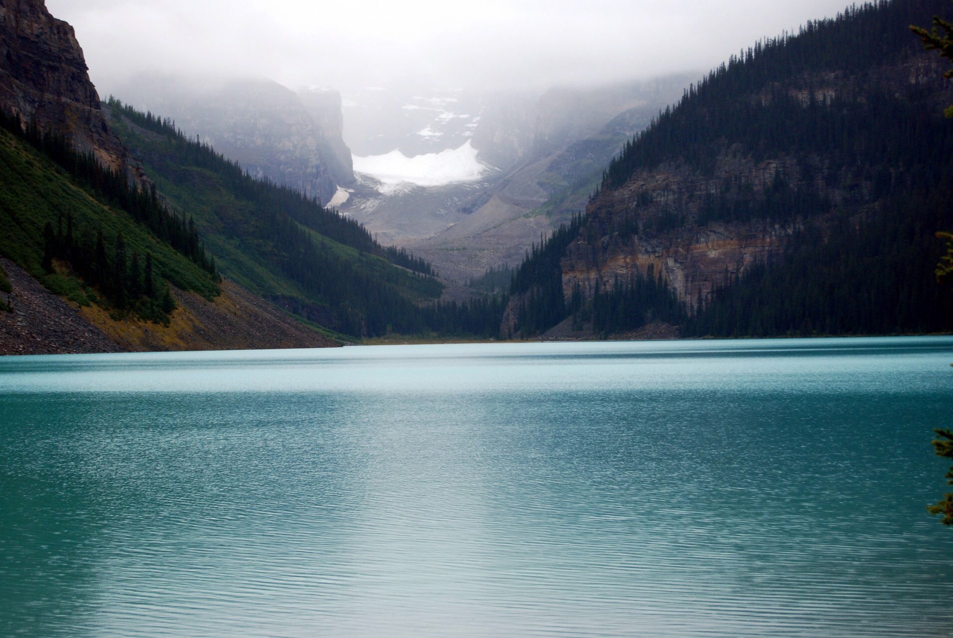 احمد القحطاني