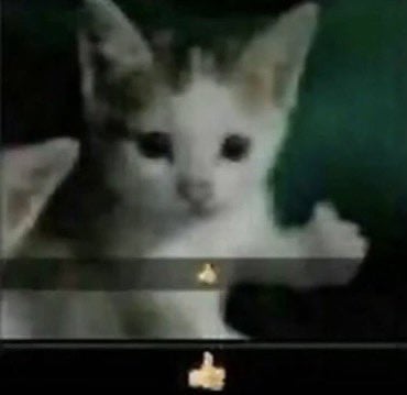 نواف الموقر