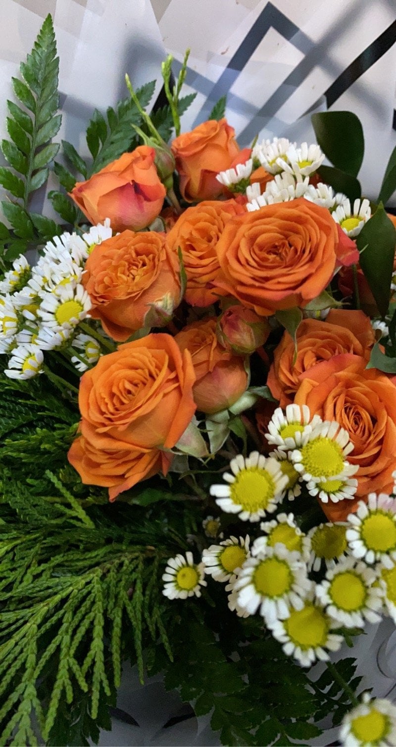 حنان البدراني