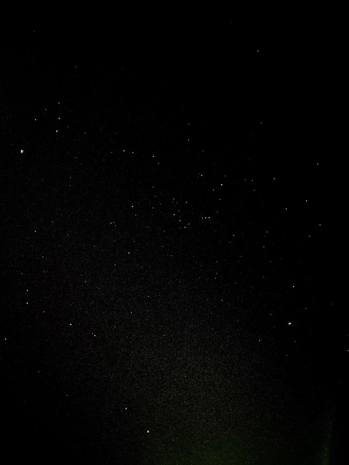 ربى الخالدي