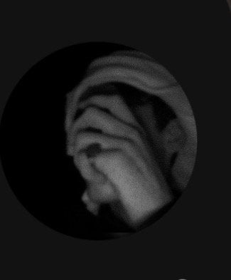 -6lf .