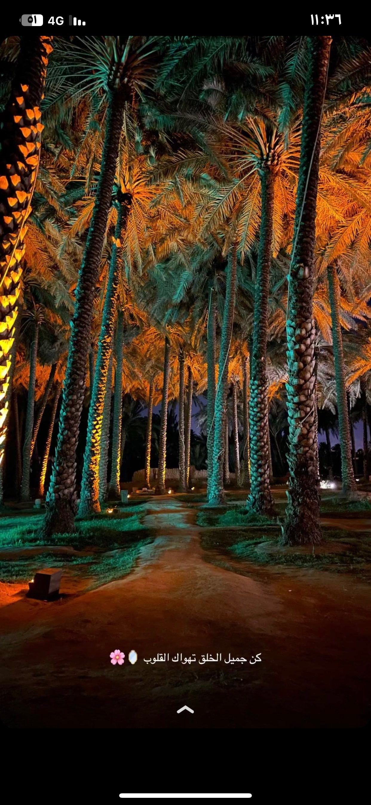 عبدالرحمن القحطاني