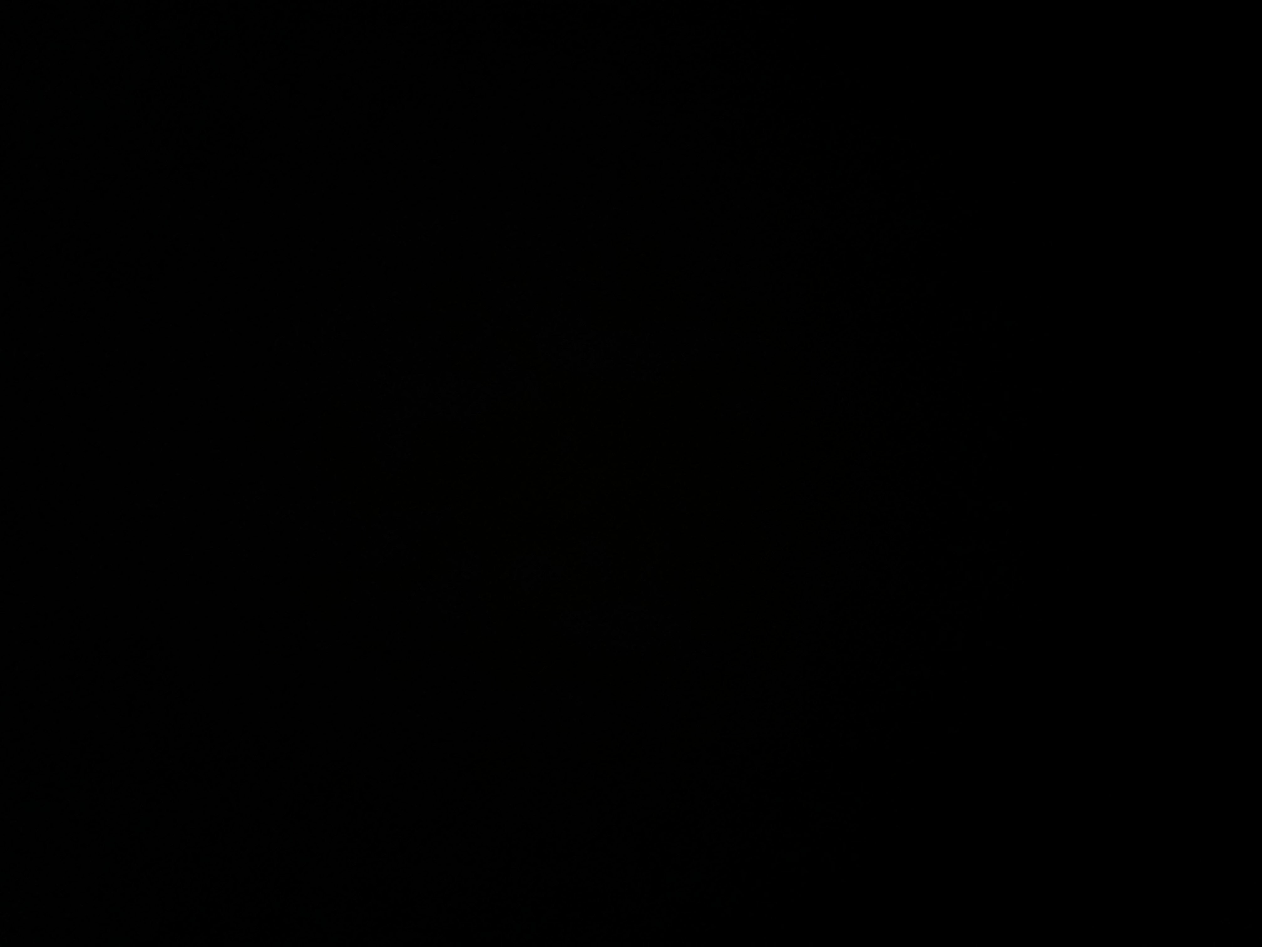 فيصل النصار