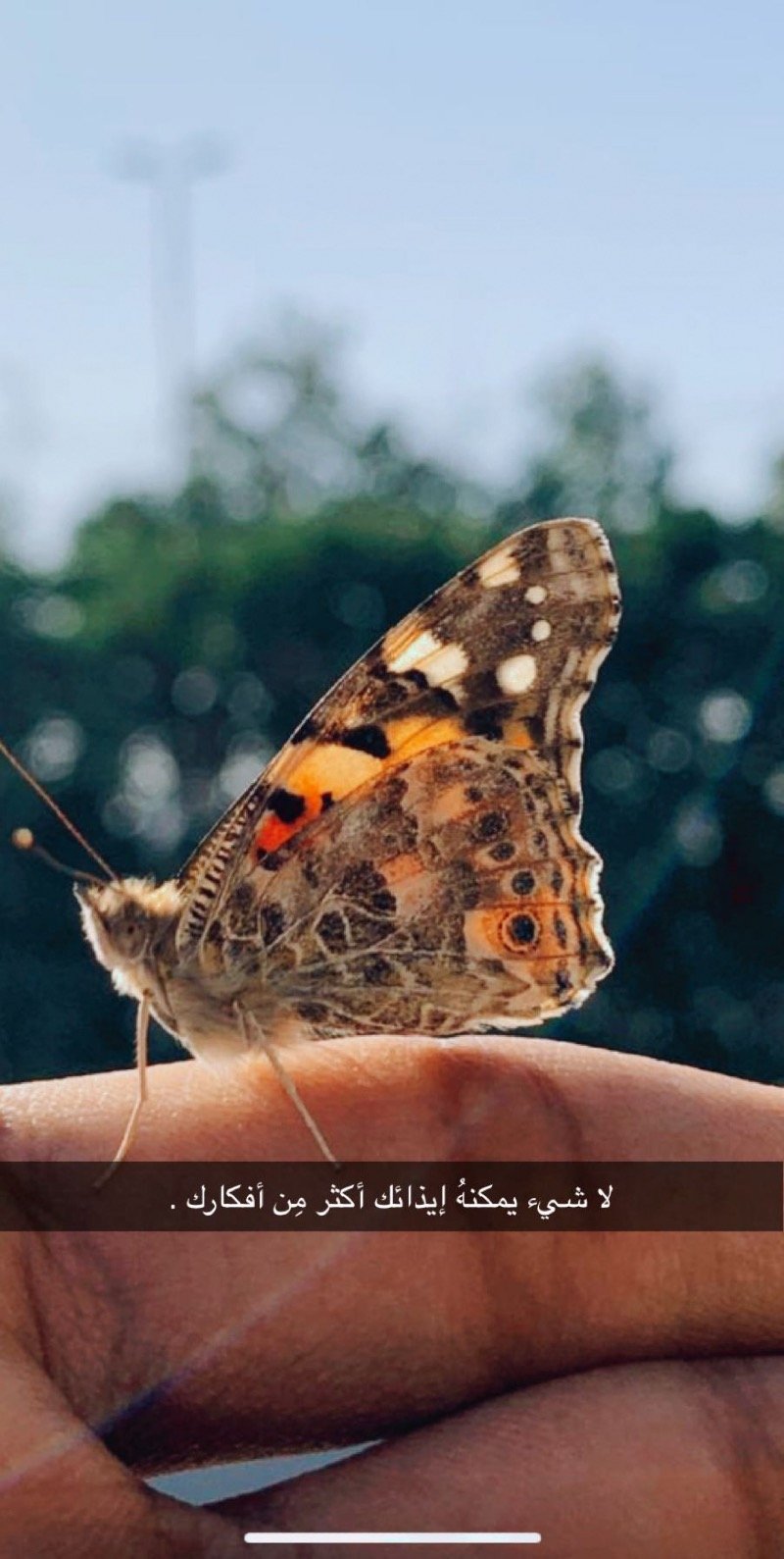 حسين الشهري