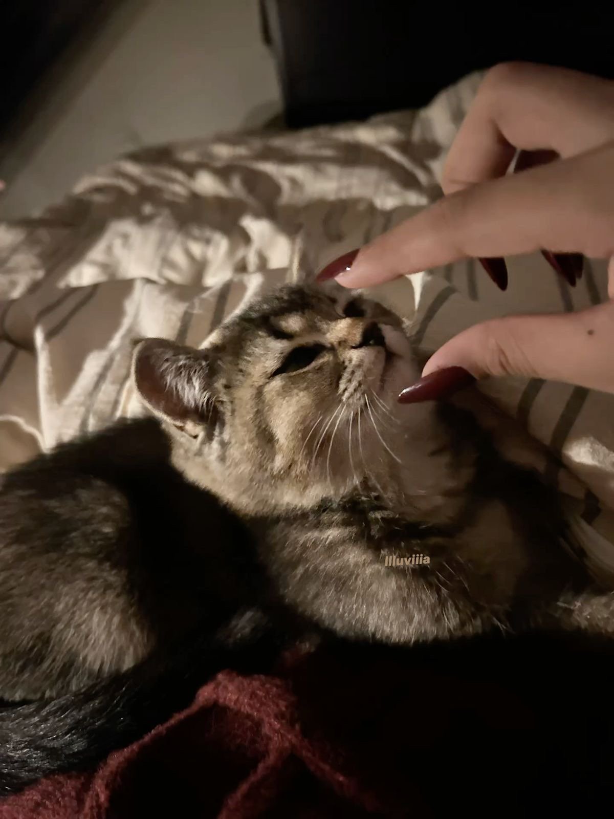 ميمي الاسمري