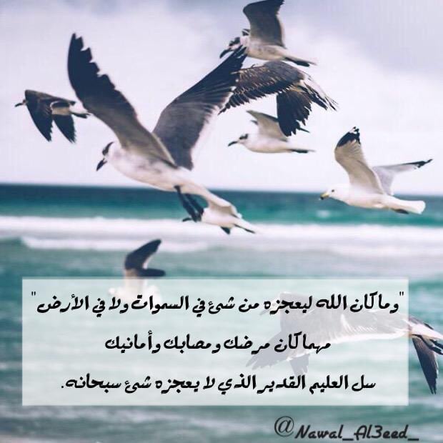 حصه صالح