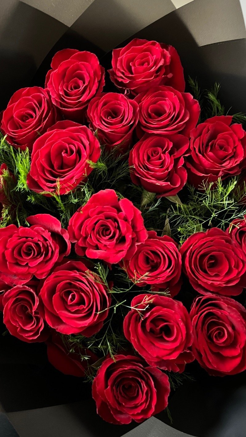 عائشه أبو داسر
