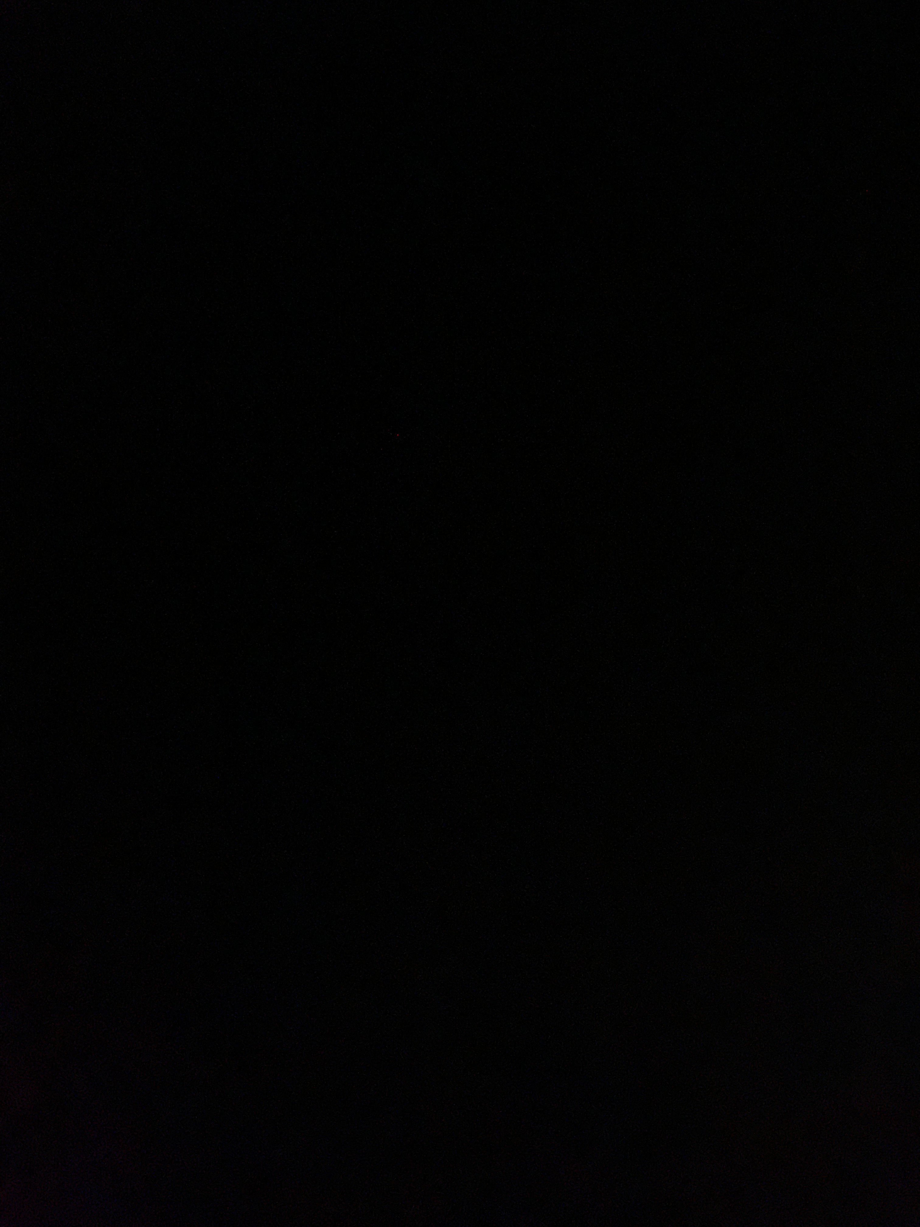 ساميه الفيفي