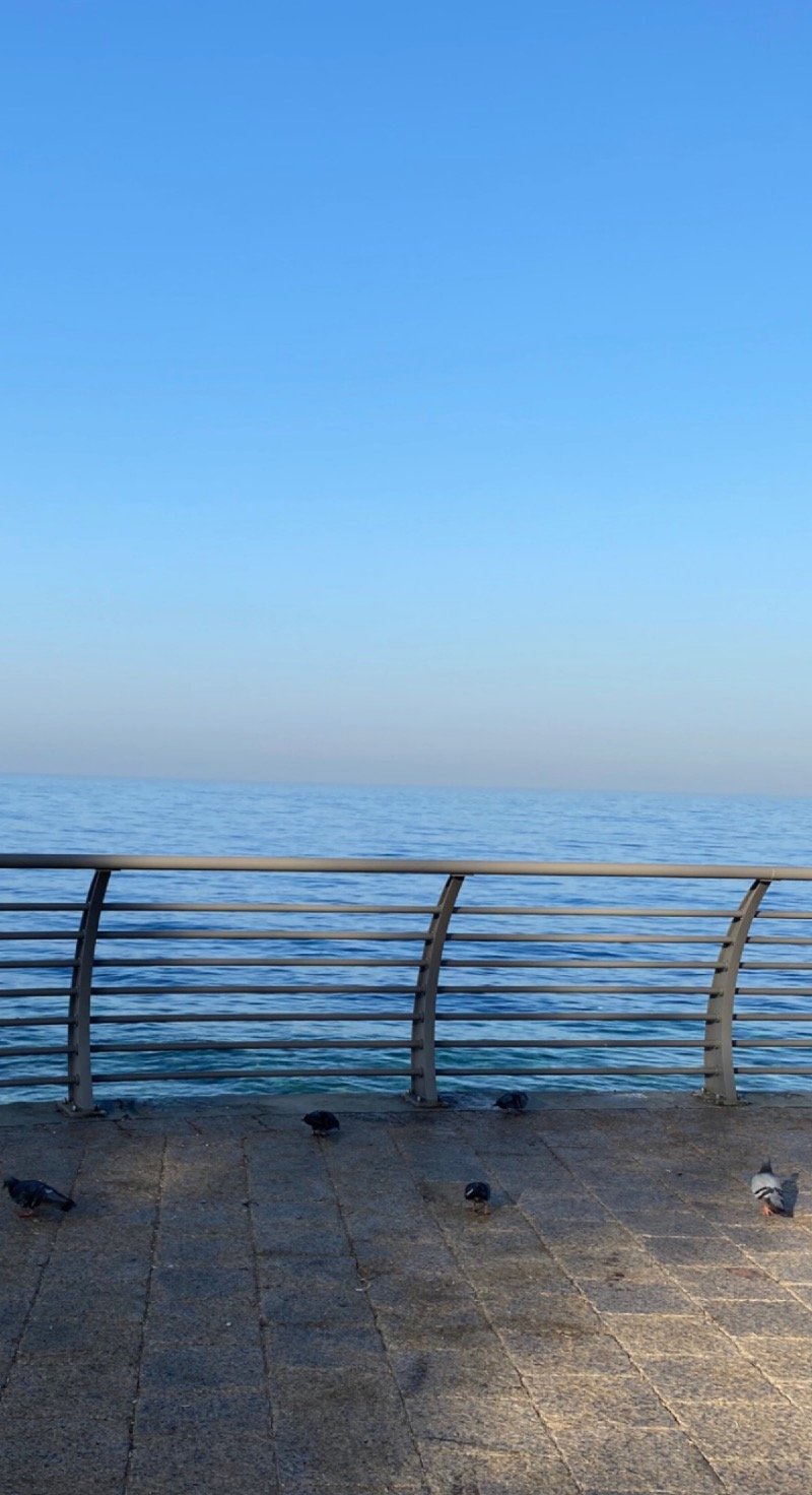 بيادر الشهري