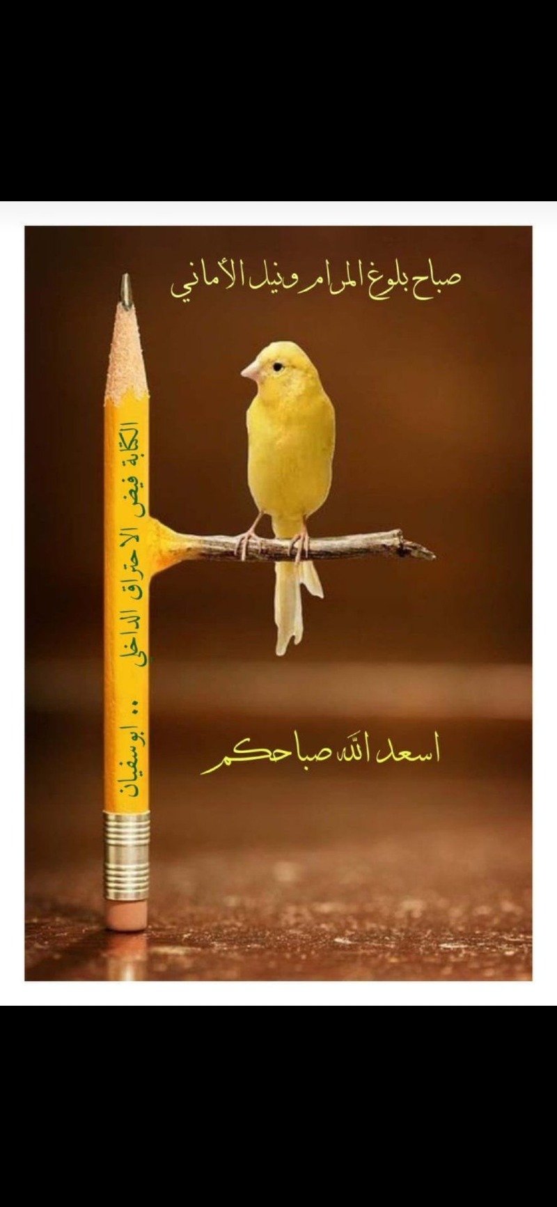 فاتن الحبيشي