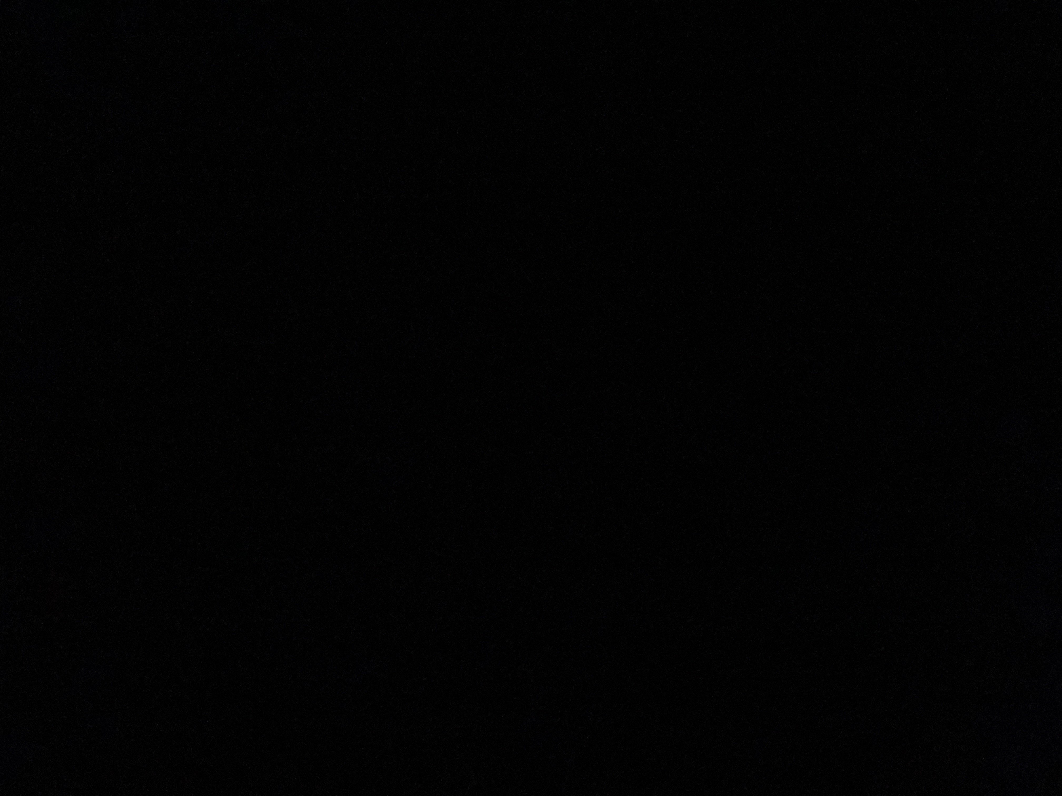 محمد القحطاني