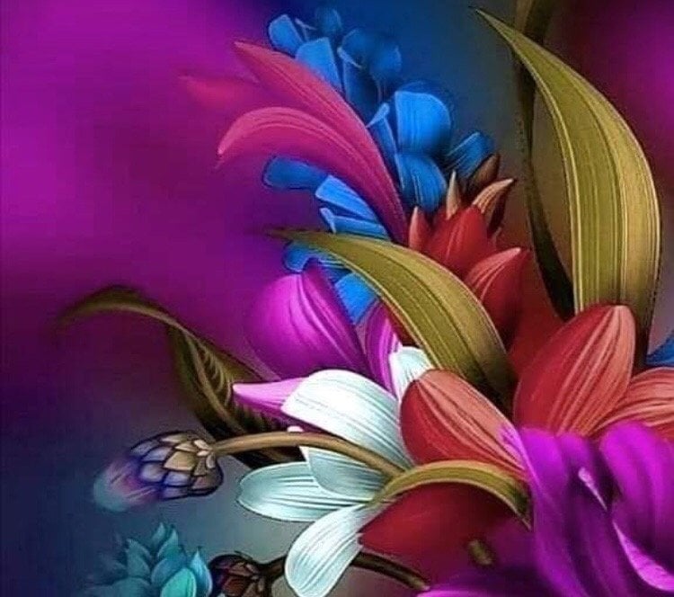 سليمان عداوي