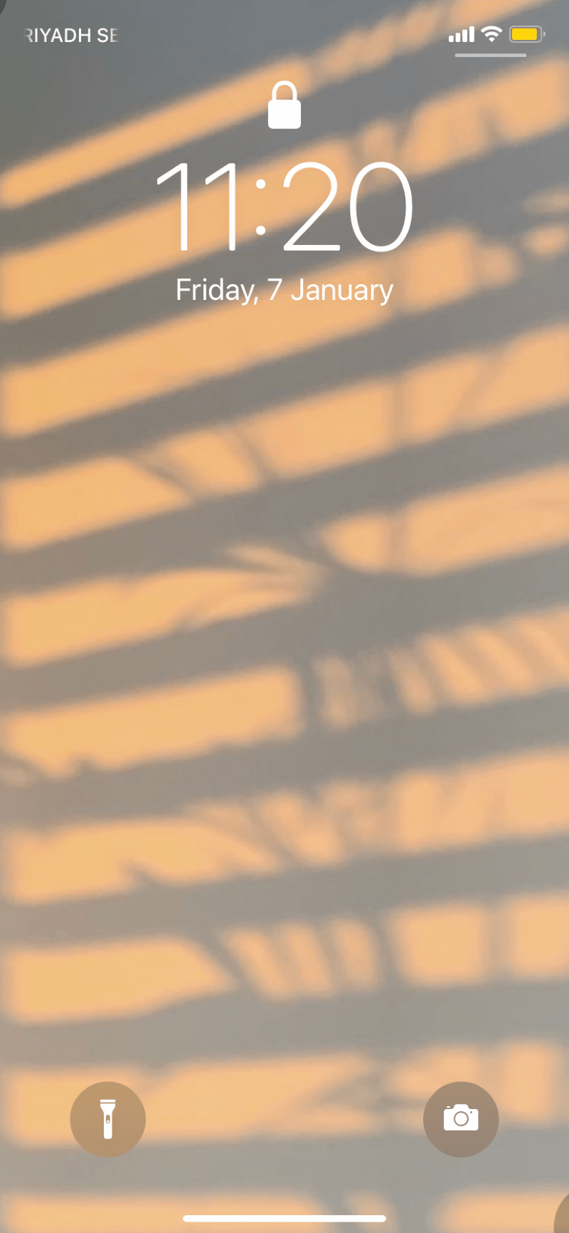 غاليه العلوي