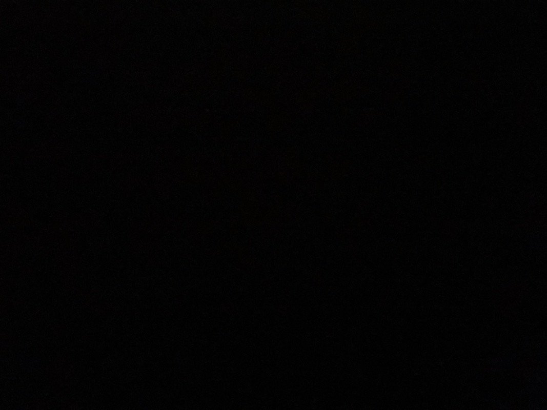 ساره القرني