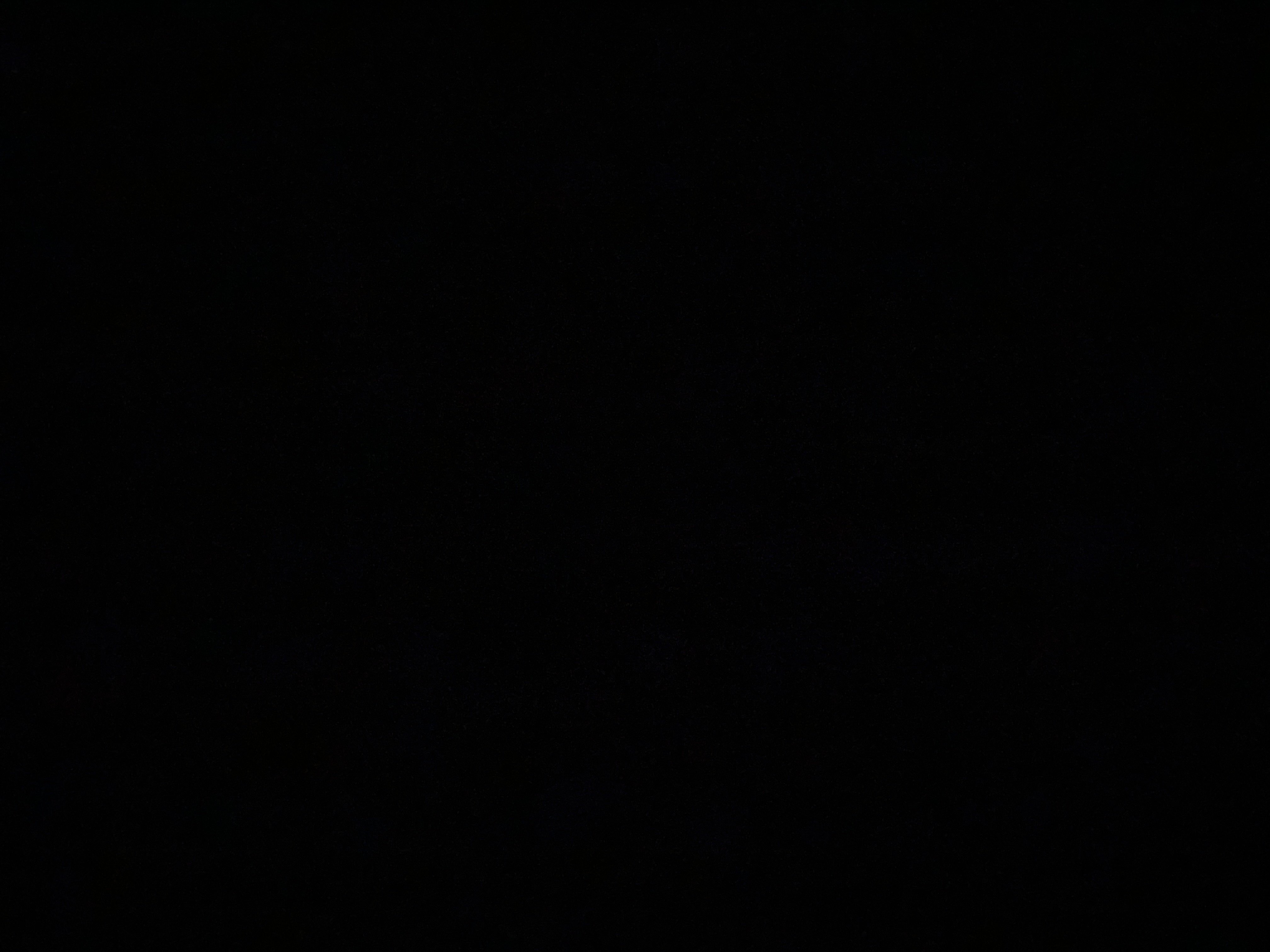 يارا الحربي