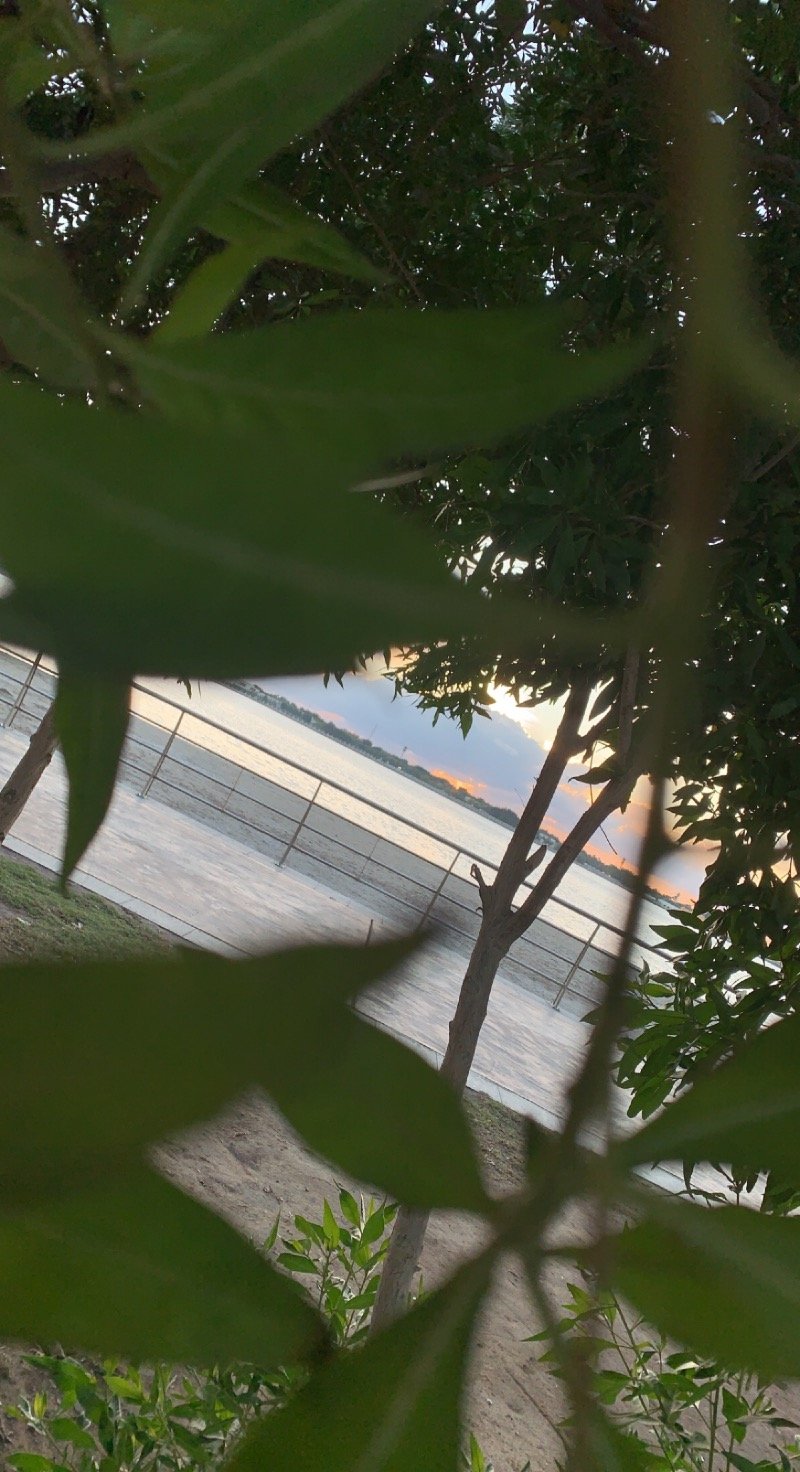 شروق العتيبي