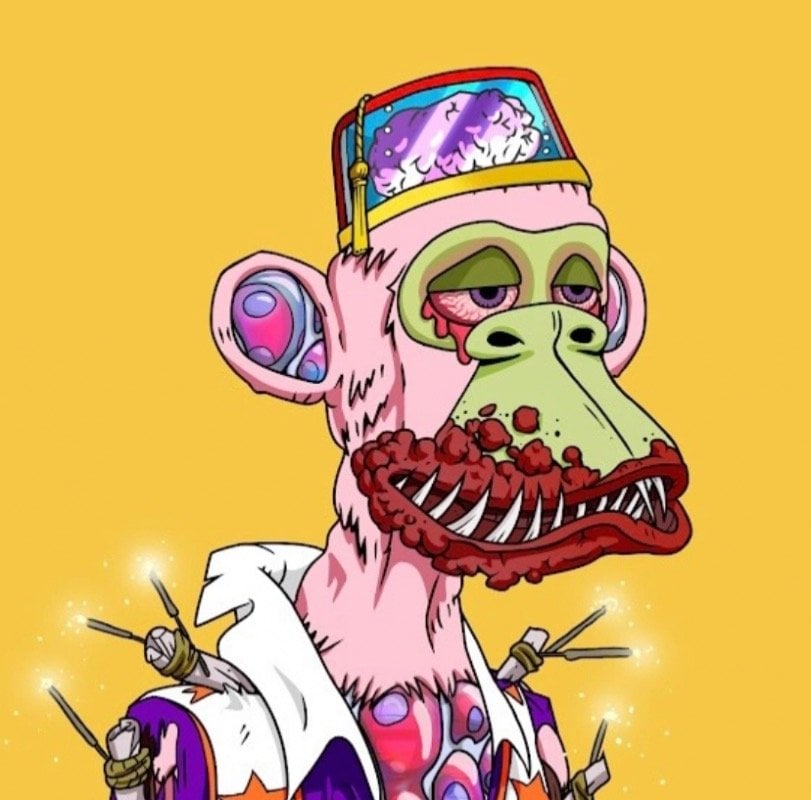 محمد الشيخ