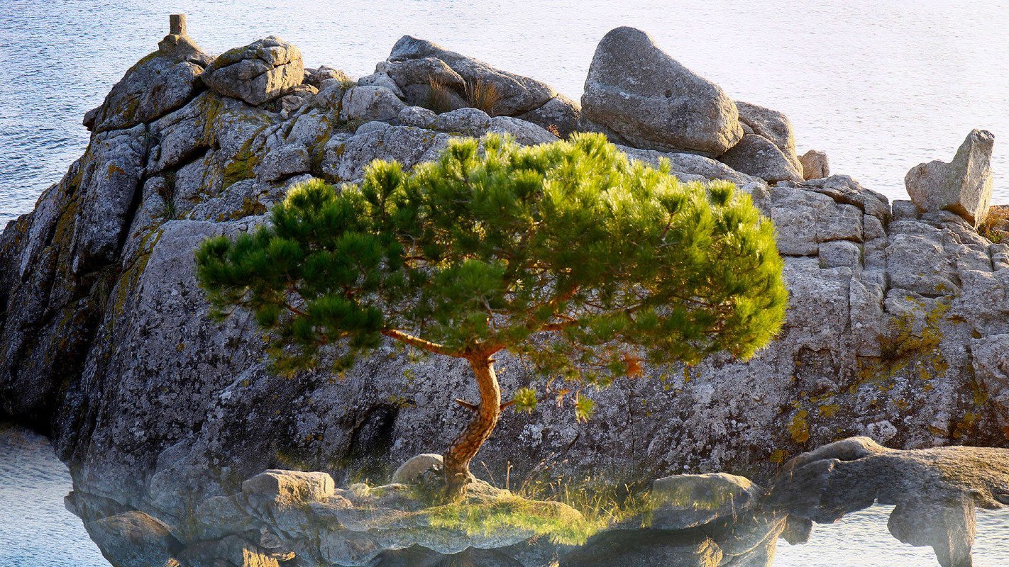 جمعية التعاونية متعددة الاغراض التعاونية