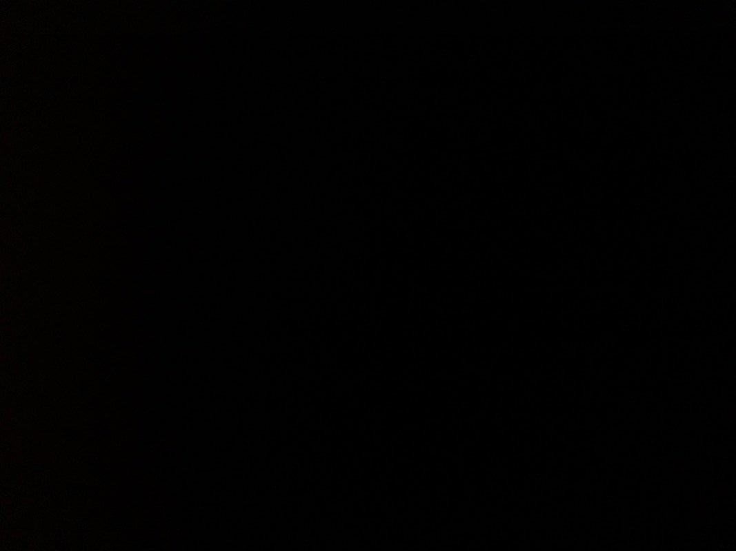 فيصل القرني