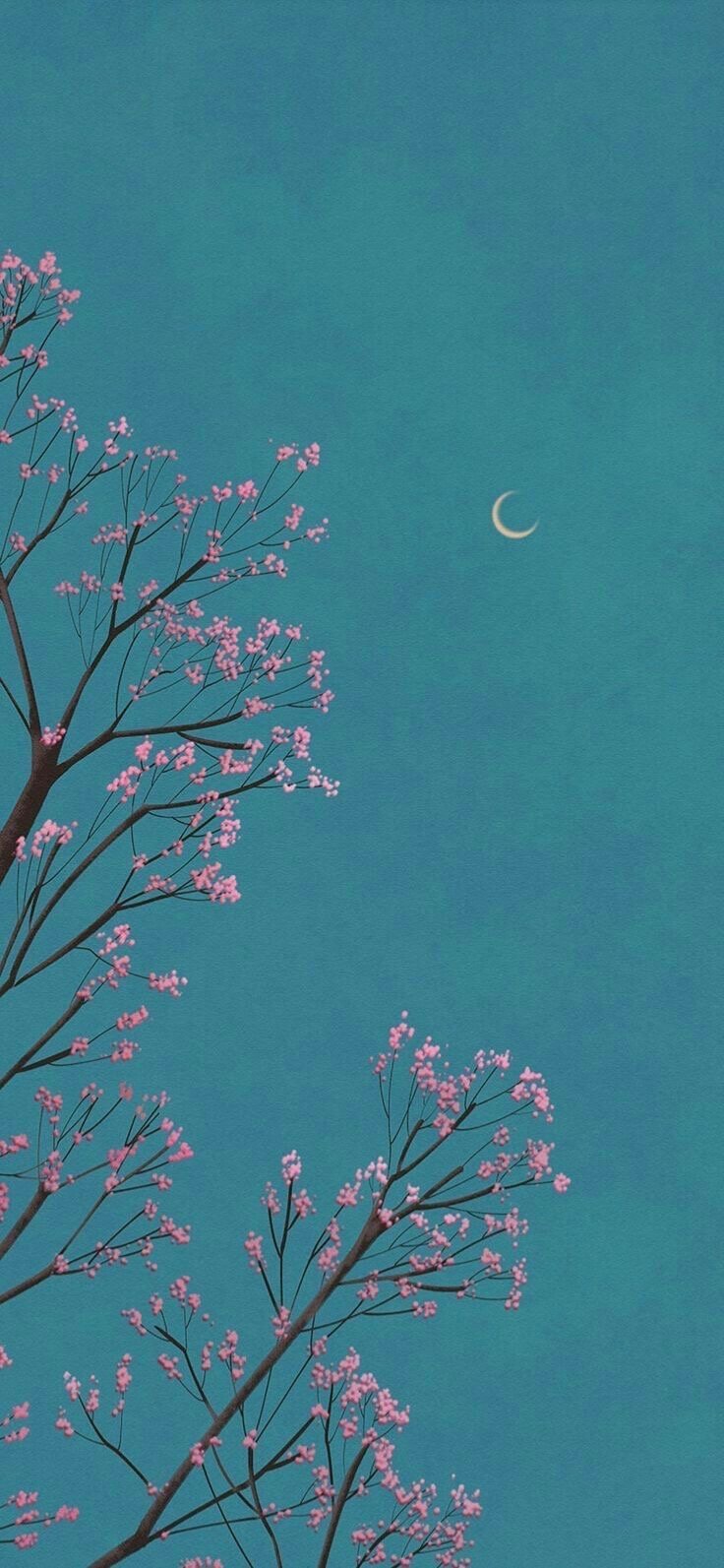 الجيداء العلي