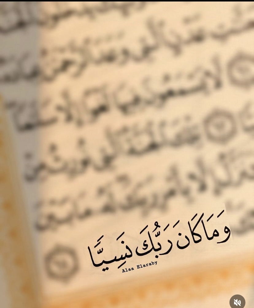 زينه الحربي