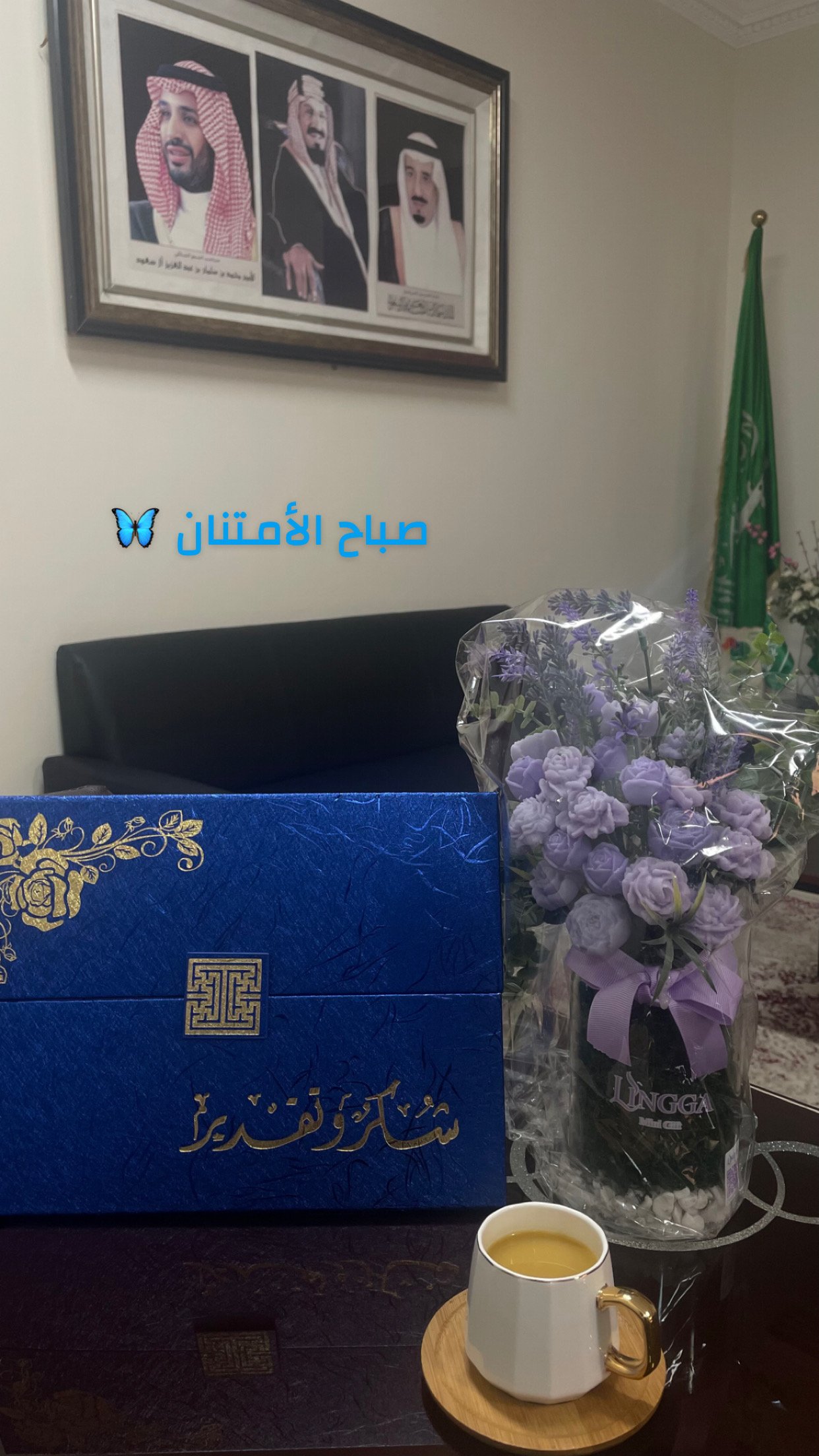 عفراء الحجاجي