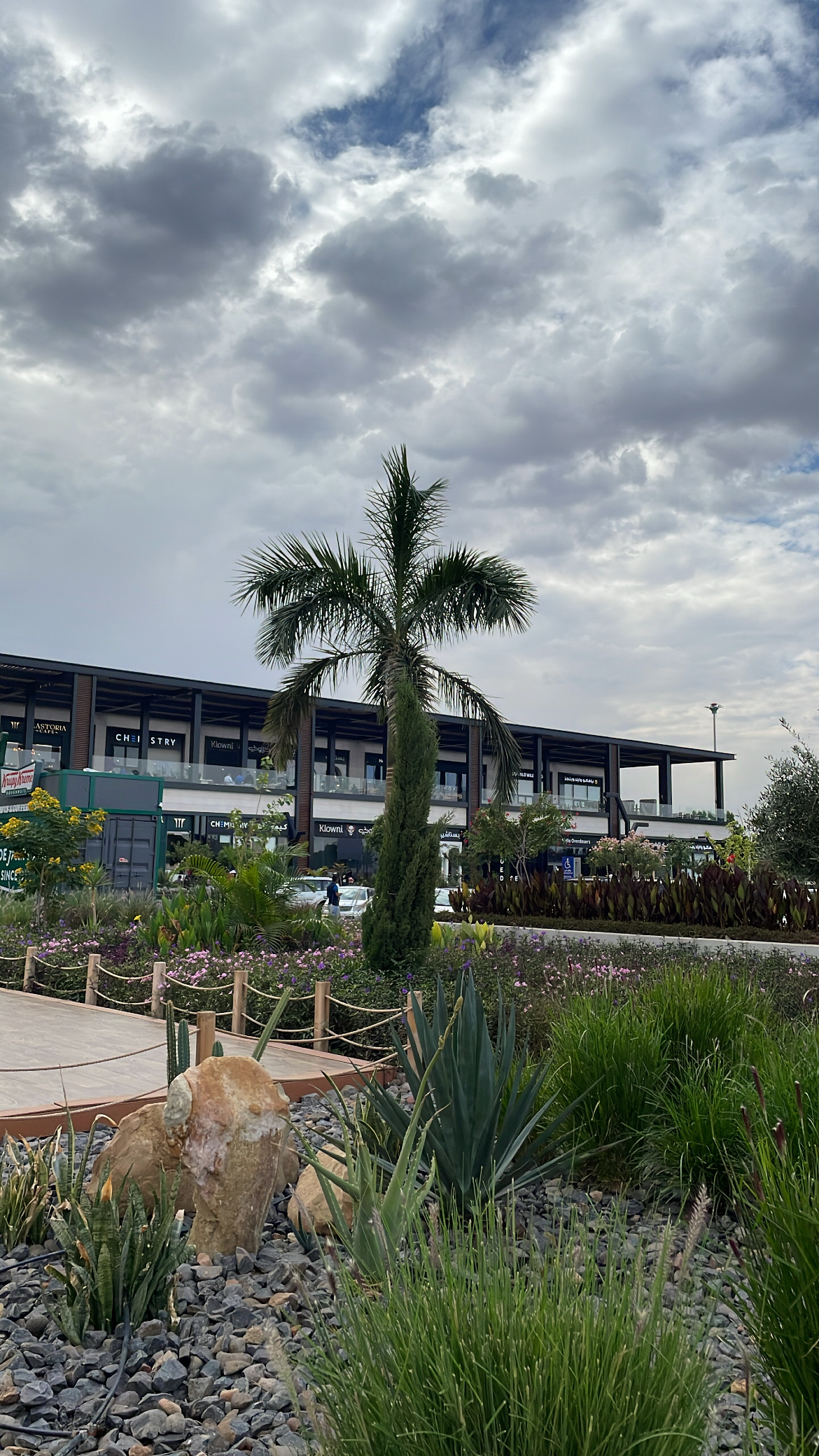 رزان الجهني